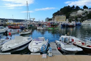 Fra Gijón: Dagsutflukt til Luarca, Cudillero og Avilés