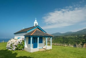 Fra Gijón: Dagsutflukt til Luarca, Cudillero og Avilés