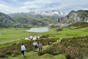 Från Gijón eller Oviedo: Covadonga sjöar och naturreservat och Cangas