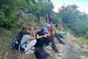 From Gijón, Oviedo or Pola de Somiedo: Brown Bear Spotting