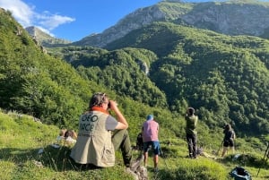 From Gijón, Oviedo or Pola de Somiedo: Brown Bear Spotting