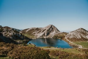 Depuis Oviedo : lacs de Covadonga, Cangas de OnÃs et Lastres