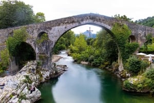 Från Oviedo: Dagstur till Covadonga-sjöarna med guide