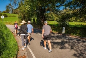 Da Oviedo: escursione di mezza giornata sul Cammino di Santiago