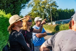 Da Oviedo: escursione di mezza giornata sul Cammino di Santiago
