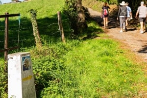 Da Oviedo: escursione di mezza giornata sul Cammino di Santiago