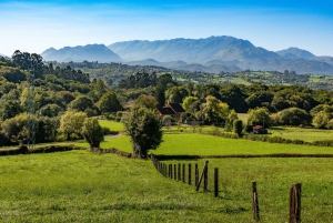 Da Oviedo: escursione di mezza giornata sul Cammino di Santiago