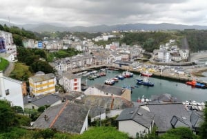 Из Овьедо: однодневная поездка в Луарку, Кудильеро и Авилес