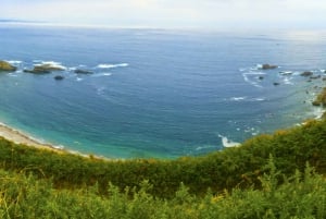 Из Овьедо: однодневная поездка в Луарку, Кудильеро и Авилес