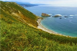 Из Овьедо: однодневная поездка в Луарку, Кудильеро и Авилес