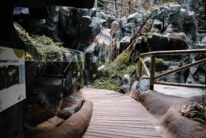 ヒホン水族館入場券