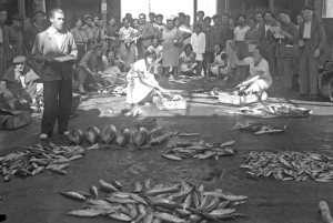 Privat rundtur i Gijón