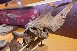 Экскурсия из Овьедо в Музей юрского периода Астурии