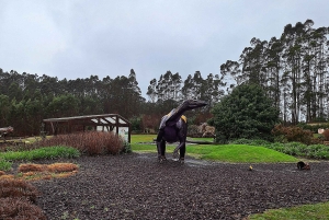 Экскурсия из Овьедо в Музей юрского периода Астурии