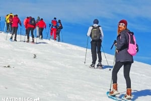 La Raya: Sneeuwschoenwandeling Fuentes de Invierno