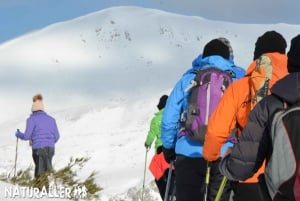 La Raya: Sneeuwschoenwandeling Fuentes de Invierno