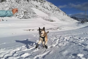 La Raya: Sneeuwschoenwandeling Fuentes de Invierno
