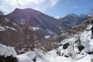 La Raya: Sneeuwschoenwandeling Fuentes de Invierno