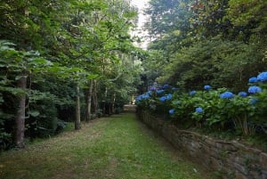 Luarca, Asturies : Visite guidée du jardin de Fonte Baxa