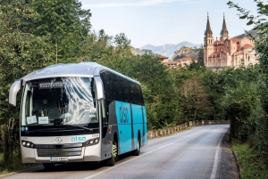 One day tour of the Picos de Europa