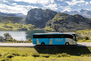 One day tour of the Picos de Europa