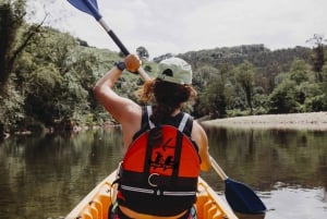 Oviedo: Descenso en canoa por el río Nalón con picnic