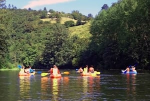 Oviedo: Descenso en canoa por el río Nalón con picnic