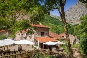 Bulnes: Excursie met kabelbaan en Cabrales kaasgrot in Picos de Europa