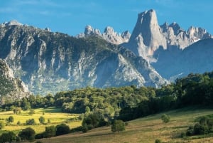 Bulnes: Excursie met kabelbaan en Cabrales kaasgrot in Picos de Europa