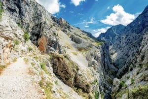 Bulnes: Excursie met kabelbaan en Cabrales kaasgrot in Picos de Europa