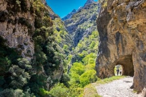 Bulnes: Excursie met kabelbaan en Cabrales kaasgrot in Picos de Europa