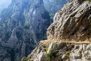 Bulnes: Excursie met kabelbaan en Cabrales kaasgrot in Picos de Europa
