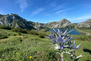 Tour privado de Oviedo a Covadonga y los Lagos de los Picos de Europa