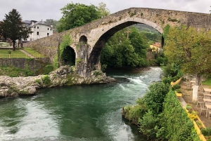 Tour privado de Oviedo a Covadonga y los Lagos de los Picos de Europa