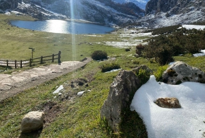 Tour privado de Oviedo a Covadonga y los Lagos de los Picos de Europa