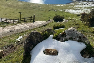 Tour privado Norte de España 10 días