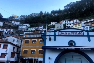 Tour privado Norte de España 10 días