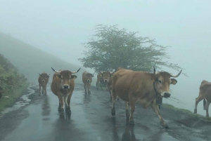 Tour privado Norte de España 10 días