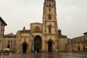 Tour privado Norte de España 10 días