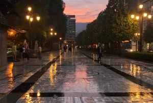 Tour privado Norte de España 10 días