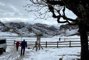 Tour privado Norte de España 10 días