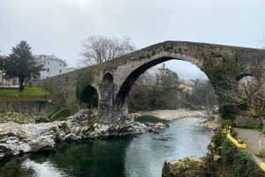 Tour privado Norte de España 10 días