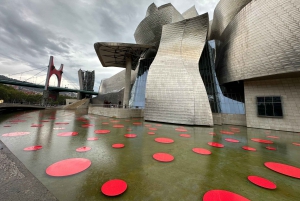 Tour privado Norte de España 10 días