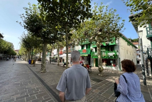 Tour privado Norte de España 10 días