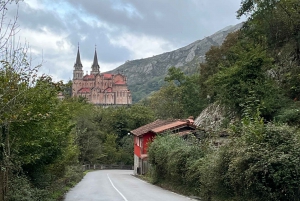 Tour privado Norte de España 10 días
