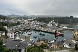 Tour privado Norte de España 10 días