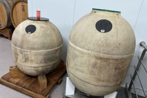 Tour privado Norte de España 10 días