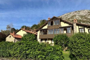 Tour privado Norte de España 10 días