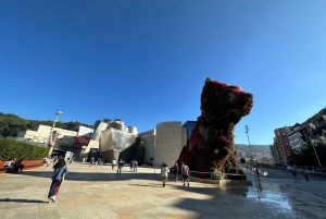 Tour privado Norte de España 10 días