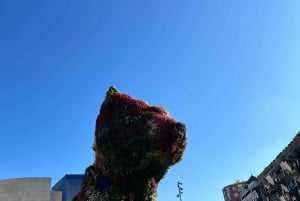 Tour privado Norte de España 10 días